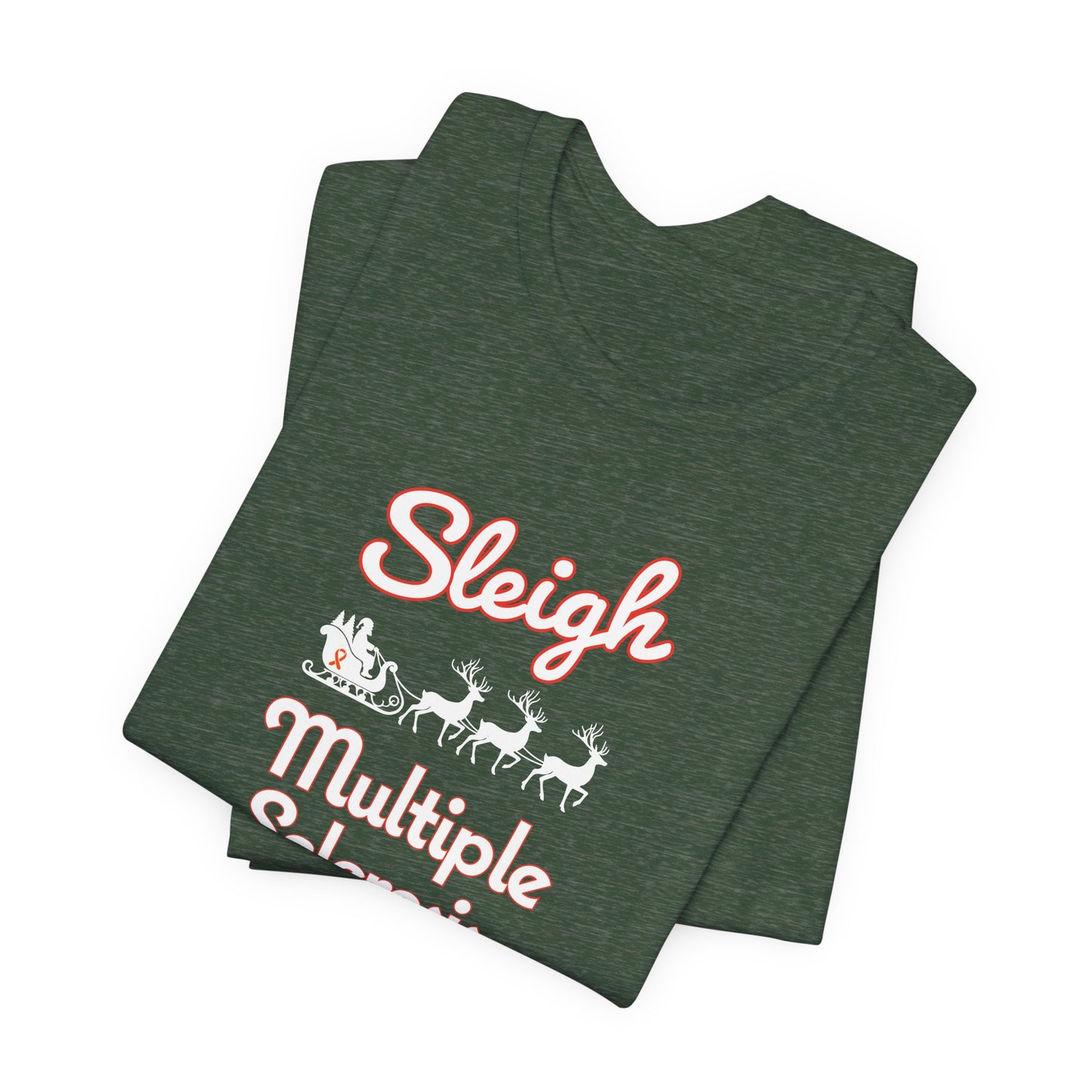 Cute Festive Sleigh MS Adult Tee Multiple Sclerosis Awareness, Charity Shirt, Unisex, Gift for Supporters, Fundraising Apparel