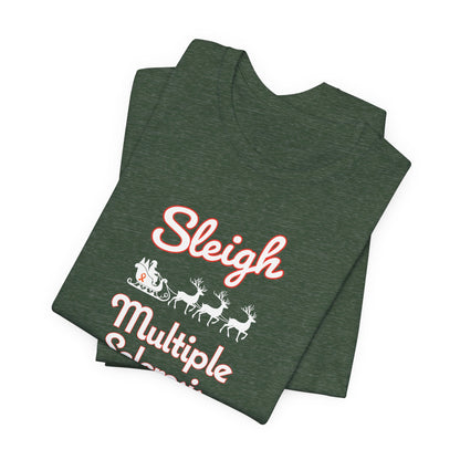 Cute Festive Sleigh MS Adult Tee Multiple Sclerosis Awareness, Charity Shirt, Unisex, Gift for Supporters, Fundraising Apparel