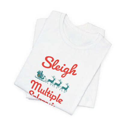 Cute Festive Sleigh MS Adult Tee Multiple Sclerosis Awareness, Charity Shirt, Unisex, Gift for Supporters, Fundraising Apparel