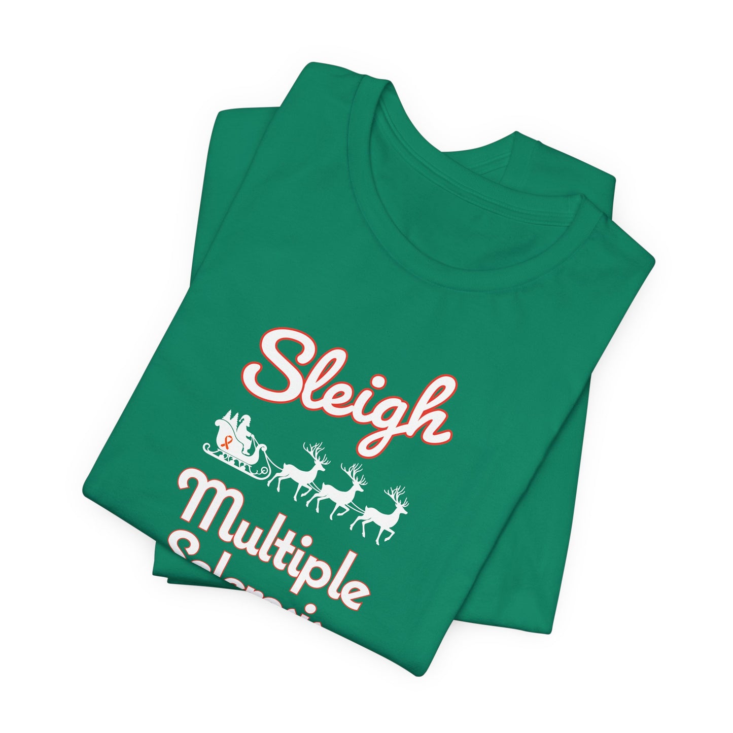 Cute Festive Sleigh MS Adult Tee Multiple Sclerosis Awareness, Charity Shirt, Unisex, Gift for Supporters, Fundraising Apparel
