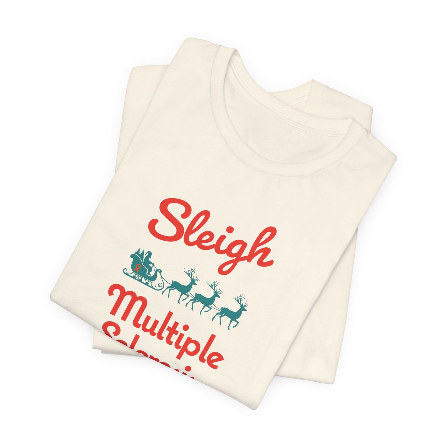 Cute Festive Sleigh MS Adult Tee Multiple Sclerosis Awareness, Charity Shirt, Unisex, Gift for Supporters, Fundraising Apparel