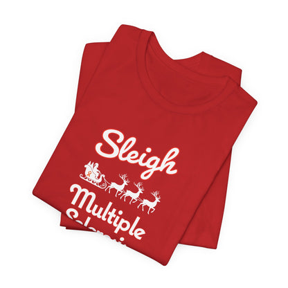Cute Festive Sleigh MS Adult Tee Multiple Sclerosis Awareness, Charity Shirt, Unisex, Gift for Supporters, Fundraising Apparel